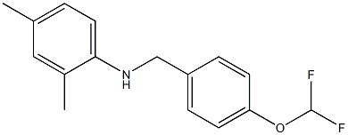 N-{[4-(difluoromethoxy)phenyl]methyl}-2,4-dimethylaniline Struktur