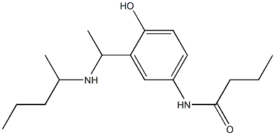 N-{4-hydroxy-3-[1-(pentan-2-ylamino)ethyl]phenyl}butanamide Struktur