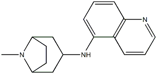 N-{8-methyl-8-azabicyclo[3.2.1]octan-3-yl}quinolin-5-amine Struktur