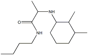 N-butyl-2-[(2,3-dimethylcyclohexyl)amino]propanamide Struktur