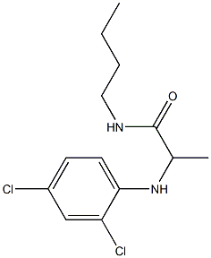 N-butyl-2-[(2,4-dichlorophenyl)amino]propanamide Struktur