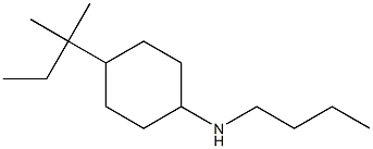 N-butyl-4-(2-methylbutan-2-yl)cyclohexan-1-amine Struktur