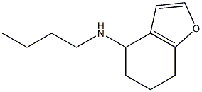 N-butyl-4,5,6,7-tetrahydro-1-benzofuran-4-amine Struktur