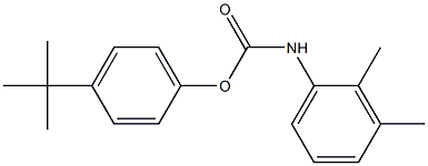 4-tert-butylphenyl 2,3-dimethylphenylcarbamate Struktur