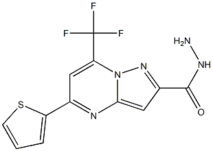 5-(2-thienyl)-7-(trifluoromethyl)pyrazolo[1,5-a]pyrimidine-2-carbohydrazide Struktur