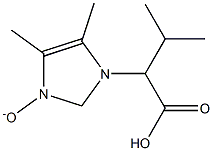 2-(4,5-dimethyl-3-oxido-1H-imidazol-1-yl)-3-methylbutanoic acid Struktur