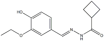 N'-(3-ethoxy-4-hydroxybenzylidene)cyclobutanecarbohydrazide Struktur