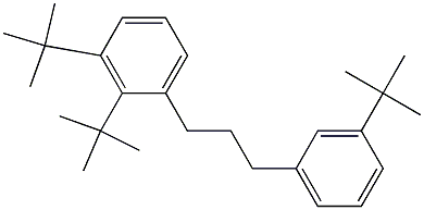 1-(2,3-Di-tert-butylphenyl)-3-(3-tert-butylphenyl)propane Struktur