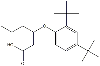 3-(2,4-Di-tert-butylphenoxy)hexanoic acid Struktur