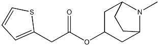 Thiophene-2-acetic acid 8-methyl-8-azabicyclo[3.2.1]octan-3-yl ester Struktur