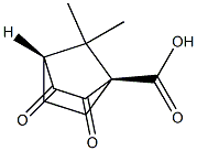 (1R,4R)-7,7-Dimethyl-2,3-dioxobicyclo[2.2.1]heptane-1-carboxylic acid Struktur