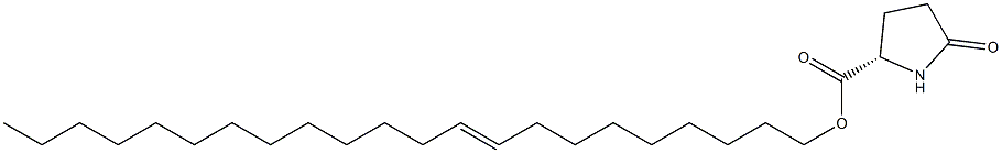 (S)-5-Oxopyrrolidine-2-carboxylic acid 9-docosenyl ester Struktur