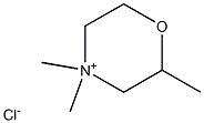 2,4,4-Trimethylmorpholinium chloride Struktur