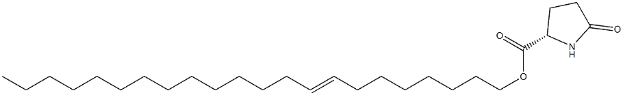 (S)-5-Oxopyrrolidine-2-carboxylic acid 8-docosenyl ester Struktur