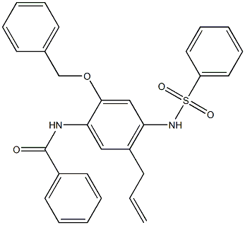 N-[2-Benzyloxy-5-(2-propenyl)-4-phenylsulfonylaminophenyl]benzamide Struktur