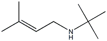 tert-Butyl(3-methyl-2-butenyl)amine Struktur