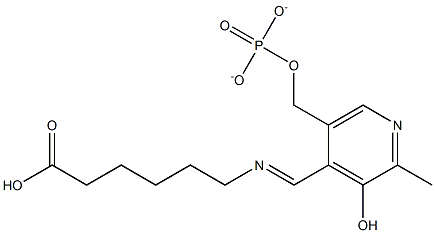 6-[[[3-Hydroxy-2-methyl-5-[(phosphonatooxy)methyl]pyridin-4-yl]methylene]-amino]hexanoic acid Struktur