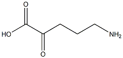 2-Oxo-5-aminopentanoic acid Struktur