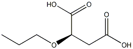 [R,(+)]-Propoxysuccinic acid Struktur