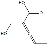 (S)-2-(Hydroxymethyl)-2,3-pentadienoic acid Struktur