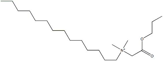 N,N-Dimethyl-N-(propoxycarbonylmethyl)-1-tetradecanaminium Struktur