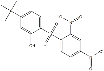 5-tert-Butyl-2-[(2,4-dinitrophenyl)sulfonyl]phenol Struktur