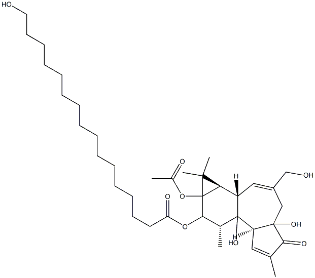 13-Acetoxy-12-(hexadecanoyloxy)-4,9,16,20-tetrahydroxy-1,6-tigliadien-3-one Struktur