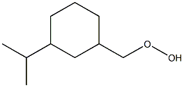 3-Isopropylcyclohexylmethyl hydroperoxide Struktur