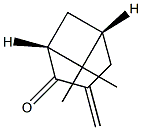 (4R,6R)-2-Methylene-4,6-methano-5,5-dimethyl-1-cyclohexanone Struktur