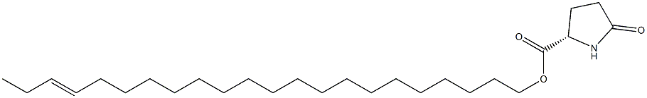 (S)-5-Oxopyrrolidine-2-carboxylic acid 19-docosenyl ester Struktur