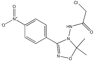 2-Chloro-N-[3-(4-nitrophenyl)-5,5-dimethyl-1,2,4-oxadiazol-4(5H)-yl]acetamide Struktur