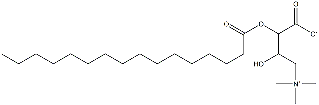 L-Palmitoyloxycarnitine Struktur