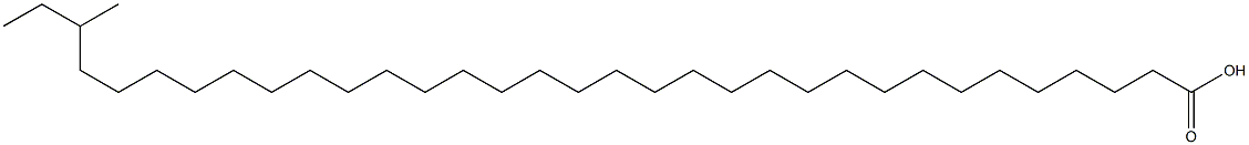 31-Methyltritriacontanoic acid Struktur