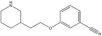 3-(2-Piperidin-3-yl-ethoxy)-benzonitrile Struktur