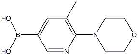 5-Methyl-6-(4-Morpholinyl)pyridine-3-boronic acid, 95% Struktur