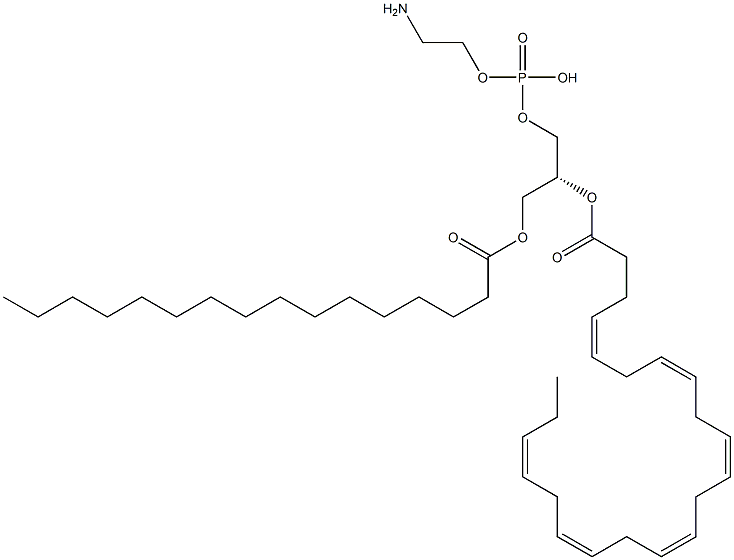 2-aminoethoxy-[(2R)-2-[(4Z,7Z,10Z,13Z,16Z,19Z)-docosa-4,7,10,13,16,19-hexaenoyl]oxy-3-hexadecanoyloxy-propoxy]phosphinic acid Struktur