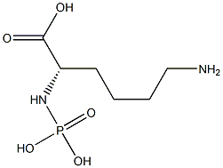 N(alpha)-phospholysine Struktur