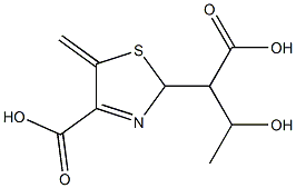 2-(4-carboxy-5-methylene-2H-thiazol-2-yl)-3-hydroxybutanoic acid Struktur