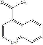 4-carboxyquinolinium Struktur