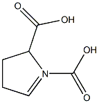 PYRROLIDENE-1,5-DICARBOXYLICACID Struktur