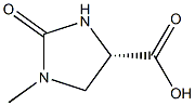 (S)-1-Methyl-2-oxo-imidazolidine-4-carboxylic acid Struktur