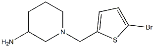 1-[(5-bromothiophen-2-yl)methyl]piperidin-3-amine Struktur