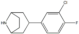 3-(3-chloro-4-fluorophenyl)-8-azabicyclo[3.2.1]octane Struktur