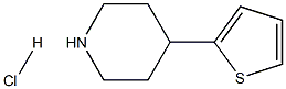 4-(2-THIENYL)PIPERIDINE HYDROCHLORIDE Struktur