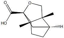 (1S,3AR,4S,6AS)-3A,6A-DIMETHYLHEXAHYDRO-1H-1,4-METHANOCYCLOPENTA[C]FURAN-1-CARBOXYLIC ACID Struktur