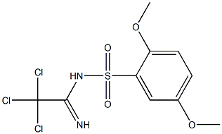 N1-(2,2,2-trichloroethanimidoyl)-2,5-dimethoxybenzene-1-sulfonamide Struktur