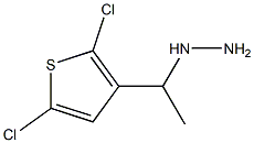 1-(1-(2,5-dichlorothiophen-3-yl)ethyl)hydrazine Struktur