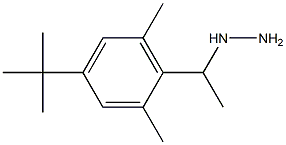 1-(1-(4-tert-butyl-2,6-dimethylphenyl)ethyl)hydrazine Struktur