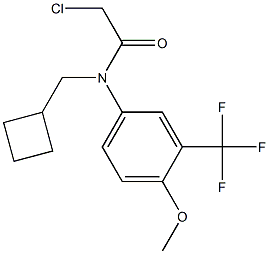 2-chloro-N-(cyclobutylmethyl)-N-(3-(trifluoromethyl)-4-methoxyphenyl)acetamide Struktur