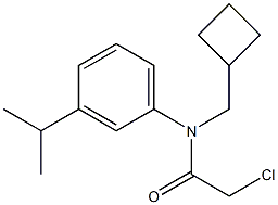 2-choro-N-(cyclobutylmethyl)-N-(3-isopropylphenyl)acetamide Struktur